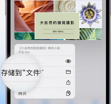 喜德apple维修中心分享iPhone文件应用中存储和找到下载文件