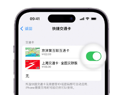 喜德apple维修点分享iPhone上更换Apple Pay快捷交通卡手绘卡面 