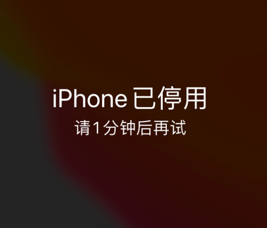 喜德苹果手机维修分享:iPhone 显示“不可用”或“已停用”怎么办？还能保留数据吗？ 