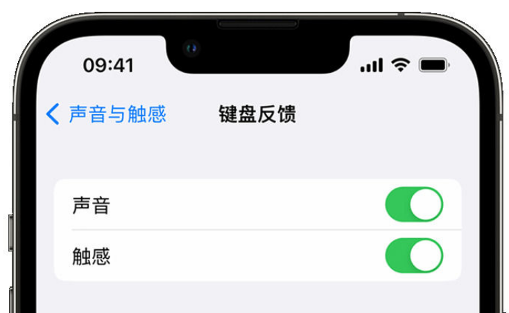 喜德苹果手机维修分享iPhone 14触感键盘使用方法 