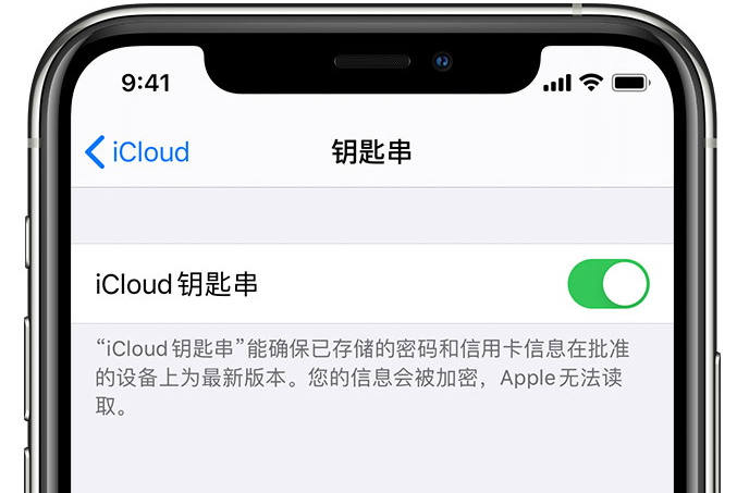 喜德苹果手机维修分享在 iPhone 上开启 iCloud 钥匙串之后会储存哪些信息 